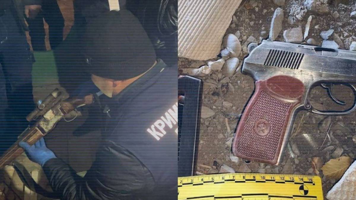 Жыл басынан бері 2300-ден астам қару тәркіленді - ІІМ