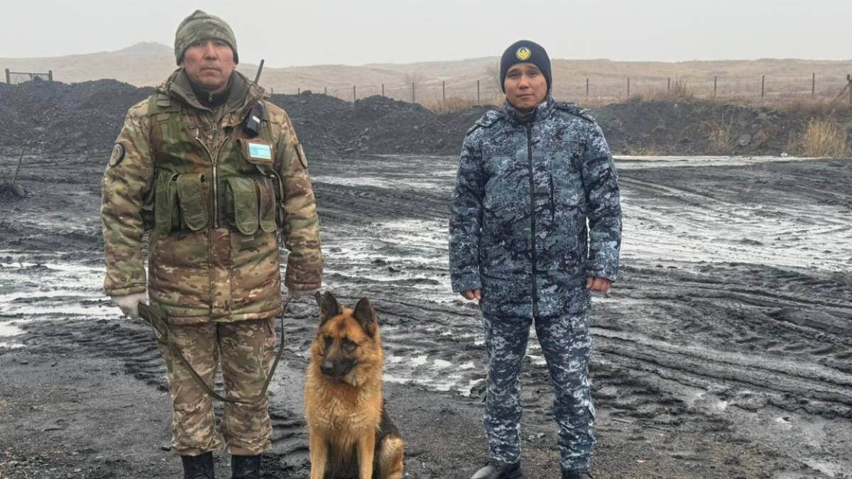 Ұландық сарбаздар түрмеге телефон алып өтпек болғандардың жолын кесті