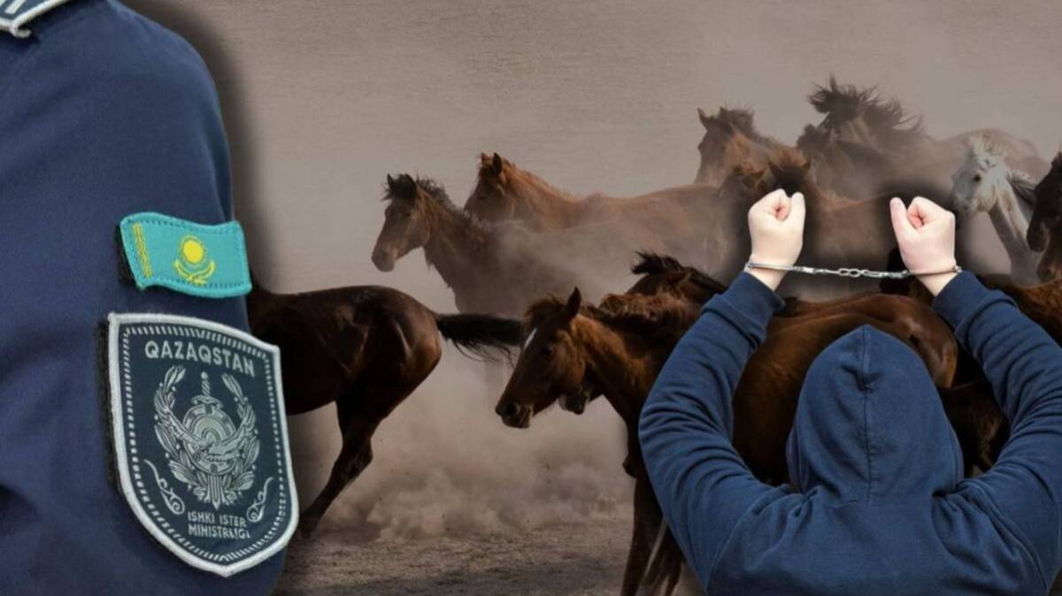 Ұлытау облысында ұрланған 100-ге жуық мал иелеріне қайтарылды