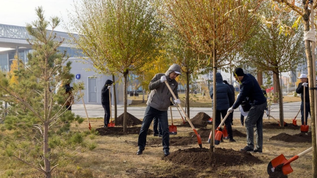 Президент тапсырмасы: 2 млрд ағаш 2027 жылға дейін отырғызылады