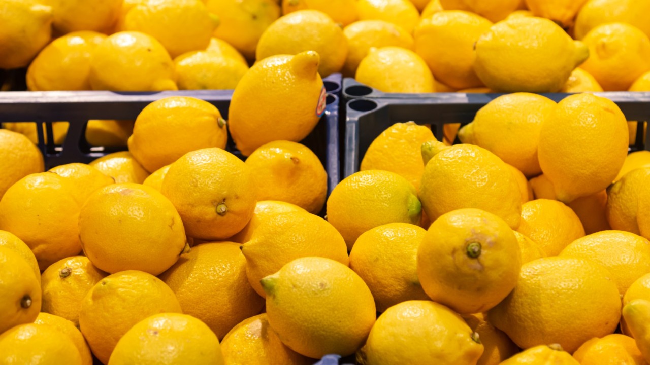 «40 жыл өнім береді»: сарыағаштық шаруа жылыжайдан жылына 200 тонна лимон жинап отыр