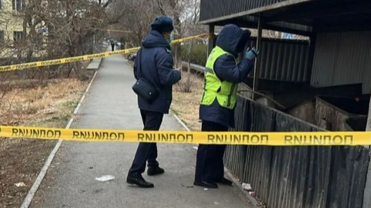 Кентауда қоқыс жәшігінен жаңа туған сәбидің денесі табылды